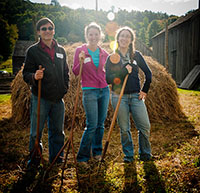 harvest